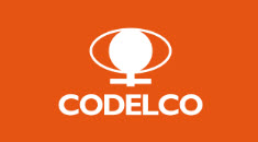 log codelco
